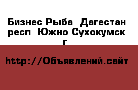 Бизнес Рыба. Дагестан респ.,Южно-Сухокумск г.